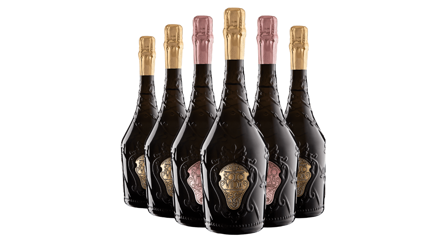 Solo Vida caja mixta (6 botellas)