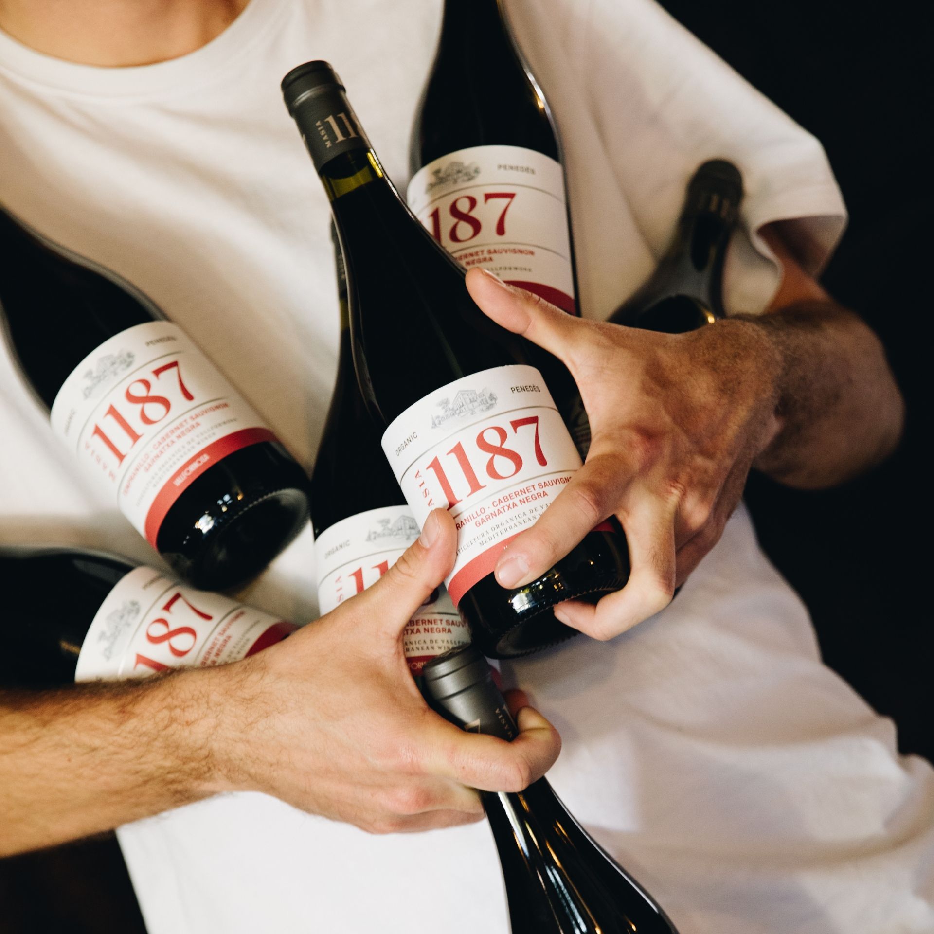 Masia 1187: Ocho siglos en una botella