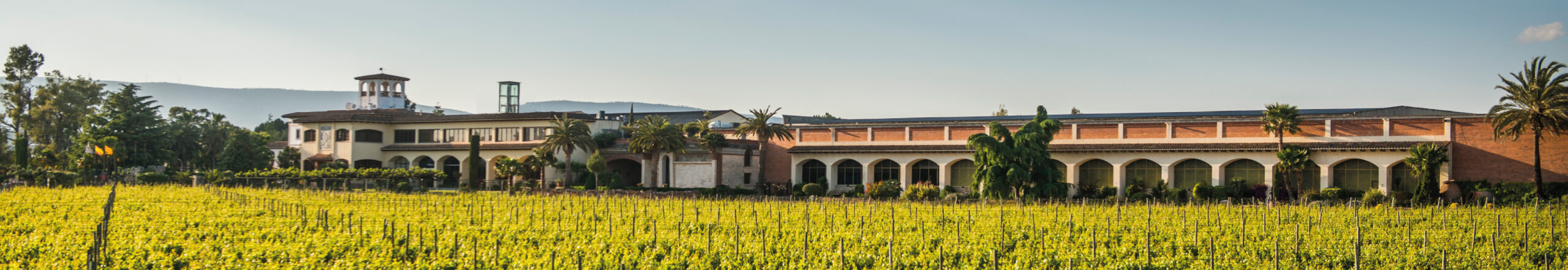 Bodega Vallformosa