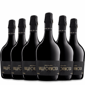 Caja 6 botellas Vallformosa 150 GRAN RESERVA